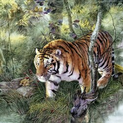 Пазл: Уссурийский тигр