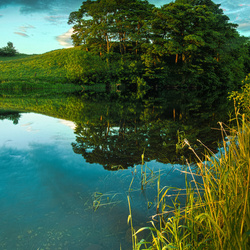 Пазл: У речки