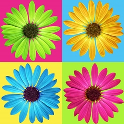 Пазл: Коллаж