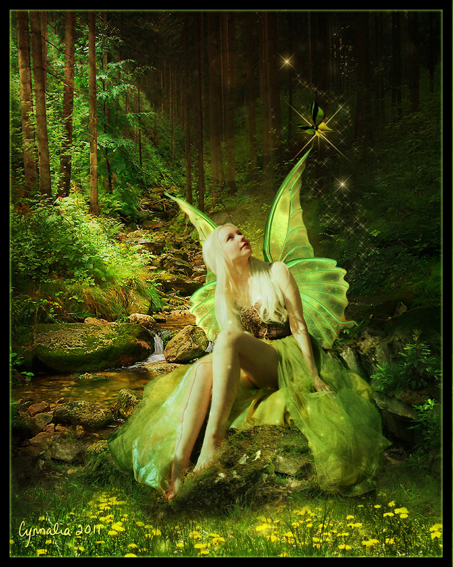 Willow faerie Every UK