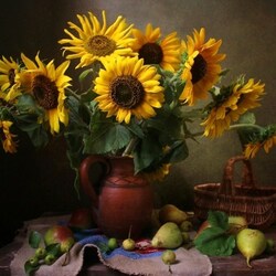 Пазл: Подсолнухи