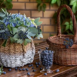 Пазл: Уголок сада