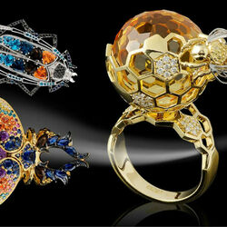 Пазл: Мир насекомых