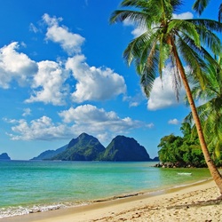 Пазл: Тропики 