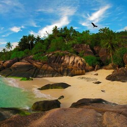 Пазл: Сейшельские острова 
