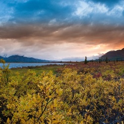 Пазл: Вечер у реки