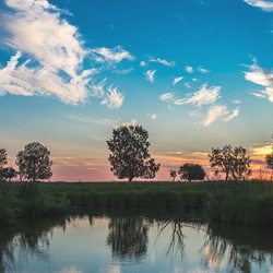 Пазл: Тихий вечер