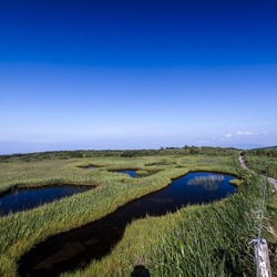 Пазл: Заводи