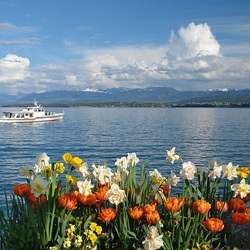 Пазл: Озеро