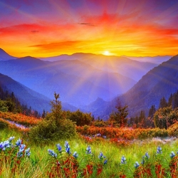 Пазл: Закат