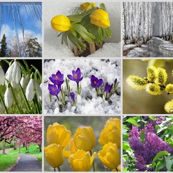 Пазл: Март. Апрель. Май