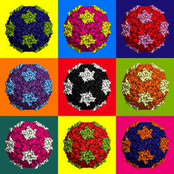 Пазл: Коллаж