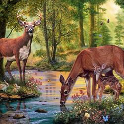 Пазл: Лесной ручей