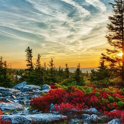 Пазл: Краски природы 