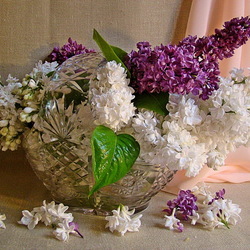 Пазл: Букет сирени в хрустальной вазе