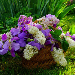 Пазл: Весна