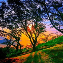 Пазл: Закат     