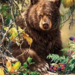 Пазл: Медведь