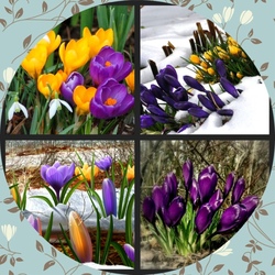 Пазл: Вестники весны