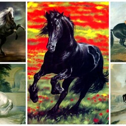 Пазл: Лошади