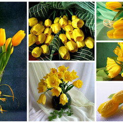 Пазл: Жёлтые тюльпаны