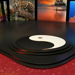 Пазл: Инь и ян