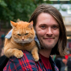 Пазл: Кот Боб