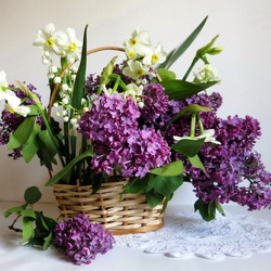 Пазл: Сирень и нарциссы