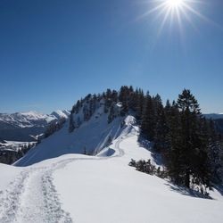 Пазл: Дорога к вершине