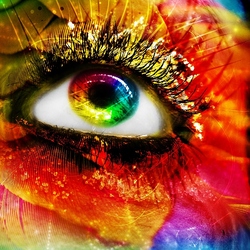 Пазл: Взгляд на мир