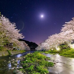 Пазл: Ночная река