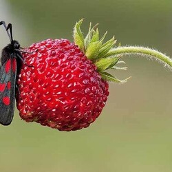 Пазл: Это всё моё