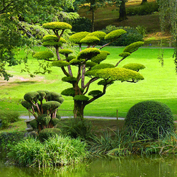 Пазл: Японский сад Молеврие