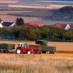 Пазл: Горячая пора