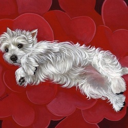 Пазл: Вестик