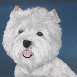 Пазл: Вестик