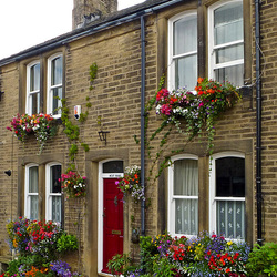 Пазл: Цветы у дома