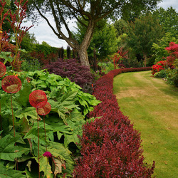 Пазл: Сад Тротта (Trott's Garden)Новая Зеландия