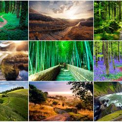 Пазл: Тропки, которые мы выбираем