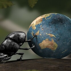 Пазл: Куда катится наш мир 