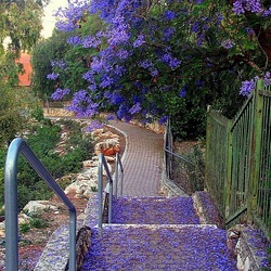 Пазл: Цветочная улочка