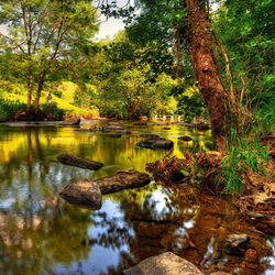 Пазл: Яркие краски природы
