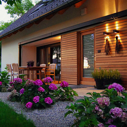 Пазл: Гортензии