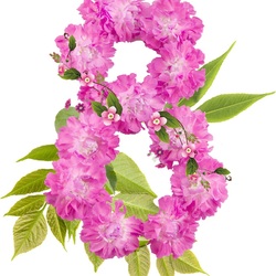 Пазл: 8 Марта 