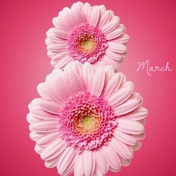 Пазл: 8 Марта