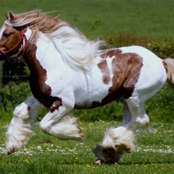 Пазл: Тяжеловоз 