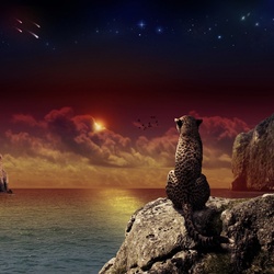 Пазл: Леопард на скале 