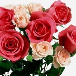 Пазл: С праздником!