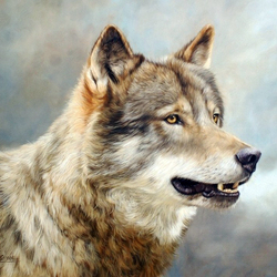 Пазл: Волк