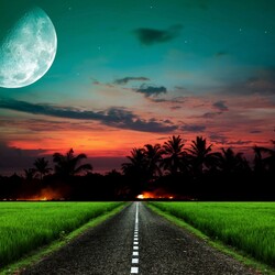 Пазл: Дорога 